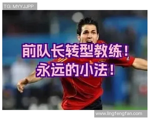 南京足球队的转型之路：从传统强队到现代战术的深度解析