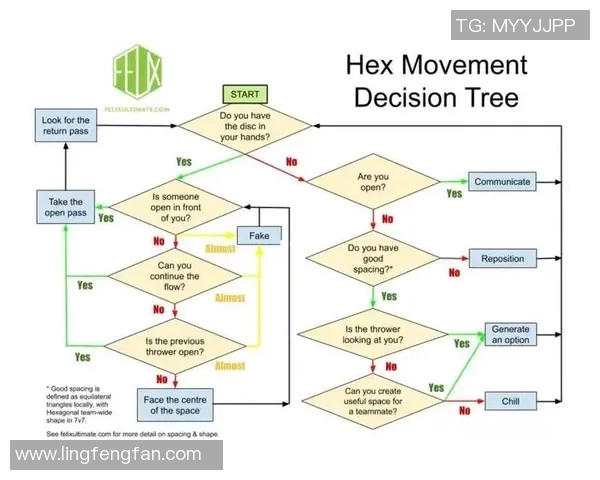 深圳飞盘队的节奏打法深度分析与战术解析